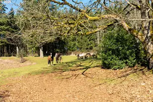 30434 NE Wylie Rd, Camas, WA 98607 - Photo 2