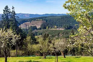 45045 NW Elk Mountain Rd, Banks, OR 97106 - Photo 4