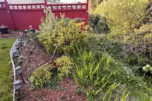 481 Hillside Loop, Seaside, OR 97138 - Photo 24