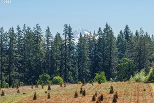 19670 S Fischers Mill Rd, Oregon City, OR 97045 - Photo 2