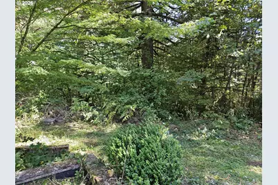 27311 SW Smithville Rd, Sheridan, OR 97378 - Photo 24