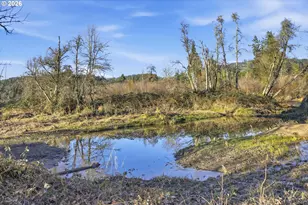 38961 Place Rd, Fall Creek, OR 97438 - Photo 24