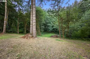94620 Elk River Rd, Port Orford, OR 97465 - Photo 6