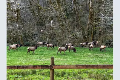 26903 Trask River Rd, Tillamook, OR 97141 - Photo 36