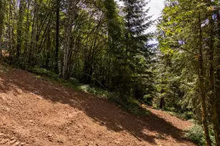 30540 NE Bell Rd, Newberg, OR 97132 - Photo 26
