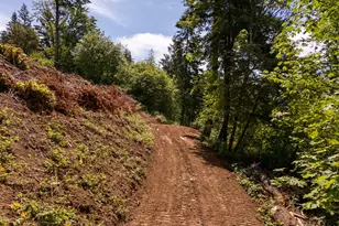 30540 NE Bell Rd, Newberg, OR 97132 - Photo 24