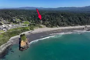 2 Hwy 101, Port Orford, OR 97465 - Photo 2
