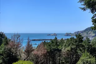 2 Hwy 101, Port Orford, OR 97465 - Photo 4