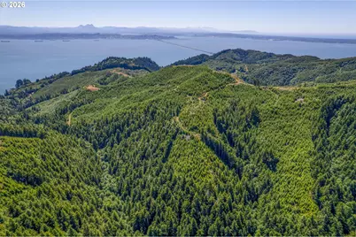 1 State Route 4, Chinook, WA 98614 - Photo 4