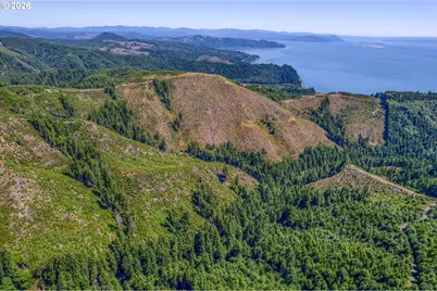 1 State Route 4, Chinook, WA 98614 - Photo 10