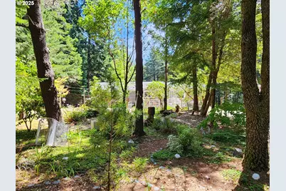 41998 Humbug Way, Port Orford, OR 97465 - Photo 30