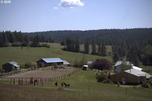 55821 Wildhorse Rd, Weston, OR 97886 - Photo 4