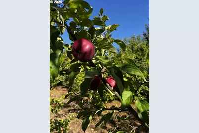 97040 Henderson, Brookings, OR 97415 - Photo 26