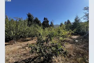 97040 Henderson, Brookings, OR 97415 - Photo 24