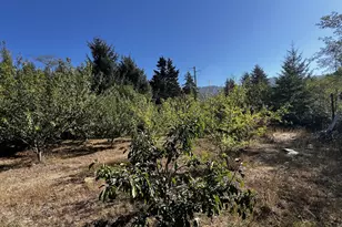 97040 Henderson, Brookings, OR 97415 - Photo 24