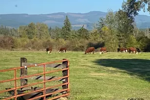 35377 Ede Rd, Lebanon, OR 97355 - Photo 12