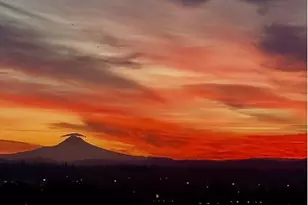 836 S Curry St, Portland, OR 97239 - Photo 2