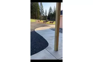 39912 NE 44th St, Washougal, WA 98671 - Photo 42