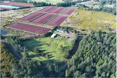 [Address not provided], Port Orford, OR 97465 - Photo 8