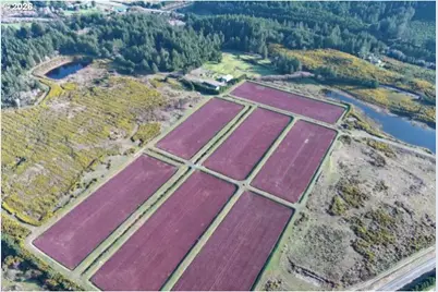 [Address not provided], Port Orford, OR 97465 - Photo 12