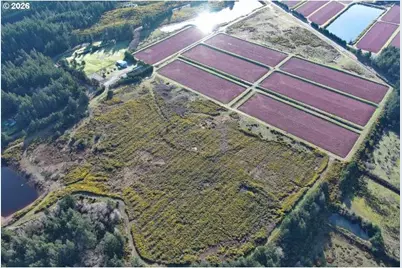 [Address not provided], Port Orford, OR 97465 - Photo 10