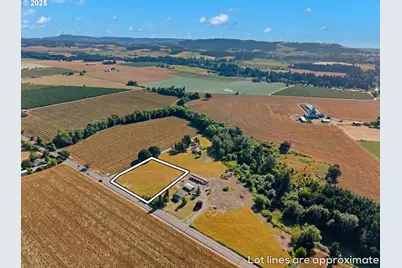 Highway 47, McMinnville, OR 97128 - Photo 8