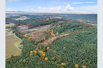 Jaeg, Junction City, OR 97448 - Photo 10