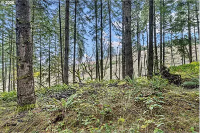 Jaeg, Junction City, OR 97448 - Photo 18