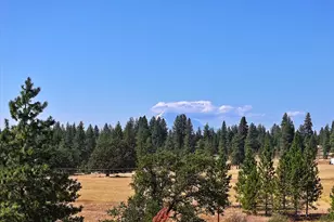 33 Mountain View Ranch Rd, Goldendale, WA 98620 - Photo 8