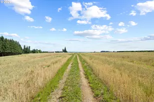 9931 S Highway 211, Canby, OR 97013 - Photo 42