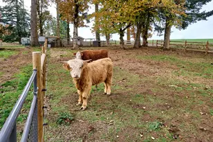 6288 Sherman Rd SE, Aumsville, OR 97325 - Photo 30