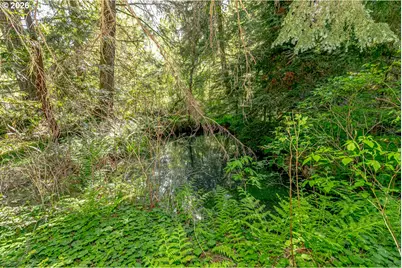 42440 SE Wildcat Mountain Dr, Sandy, OR 97055 - Photo 40