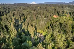 42440 SE Wildcat Mountain Dr, Sandy, OR 97055 - Photo 44