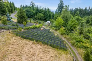 25360 NE Albertson Rd, Hillsboro, OR 97123 - Photo 42