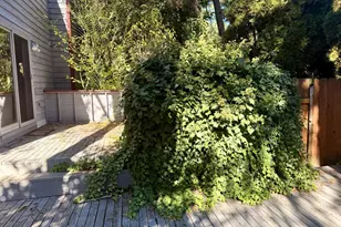 10 Mountain Cir, Lake Oswego, OR 97035 - Photo 20