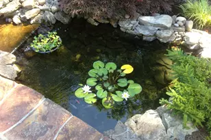 13346 SW Shakespeare St, Tigard, OR 97224 - Photo 30