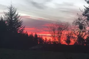 33318 SE Funny Farm Rd, Estacada, OR 97023 - Photo 38