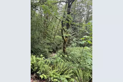 33318 SE Funny Farm Rd, Estacada, OR 97023 - Photo 32