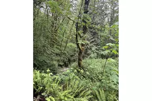 33318 SE Funny Farm Rd, Estacada, OR 97023 - Photo 32