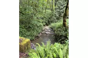 33318 SE Funny Farm Rd, Estacada, OR 97023 - Photo 24
