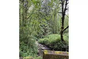 33318 SE Funny Farm Rd, Estacada, OR 97023 - Photo 26