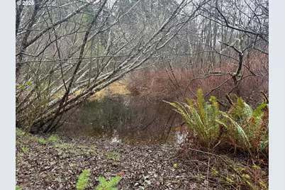 88579 Highway 42S, Bandon, OR 97411 - Photo 8