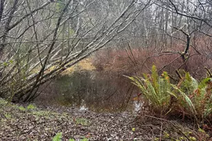 88579 Hwy 42S, Bandon, OR 97411 - Photo 8