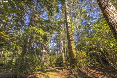 88579 Highway 42S, Bandon, OR 97411 - Photo 40