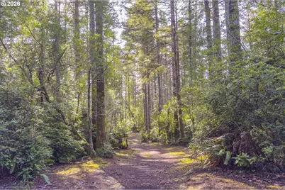 88579 Highway 42S, Bandon, OR 97411 - Photo 36