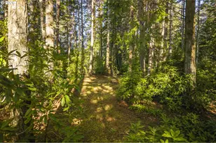 88579 Hwy 42S, Bandon, OR 97411 - Photo 38