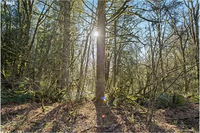 9245 NW Skyline Blvd, Portland, OR 97231 - Photo 8