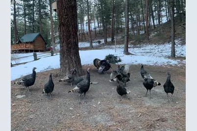 25855 Pine Creek Rd, John Day, OR 97845 - Photo 44