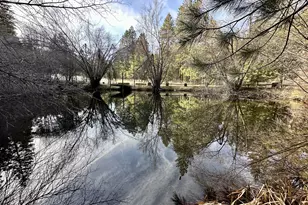 25855 Pine Creek Rd, John Day, OR 97845 - Photo 38