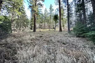 25855 Pine Creek Rd, John Day, OR 97845 - Photo 34